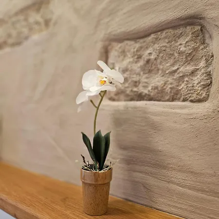 Ferienapartment Wilma