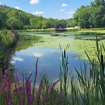 Ferienapartment Wilma アパート *