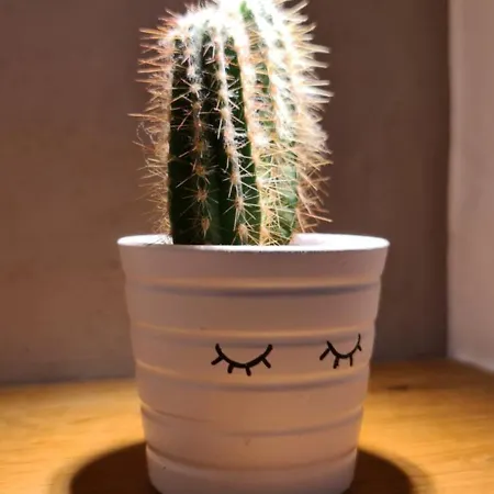 Ferienapartment Wilma