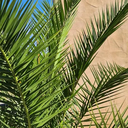 Ferienapartment Wilma Апартаменты *