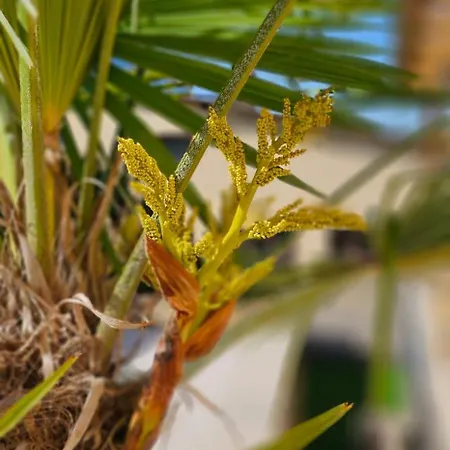 Ferienapartment Wilma Апартаменты Grunsfeld