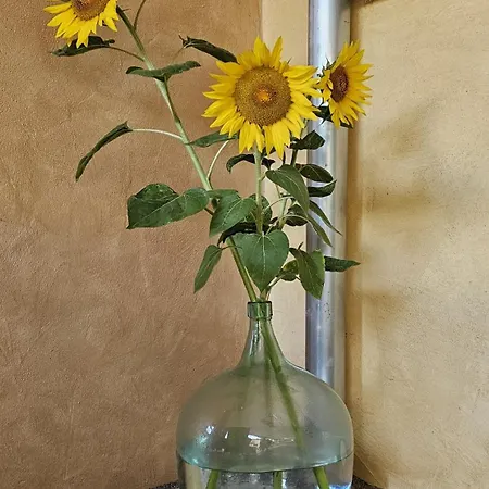 Ferienapartment Wilma Апартаменты *