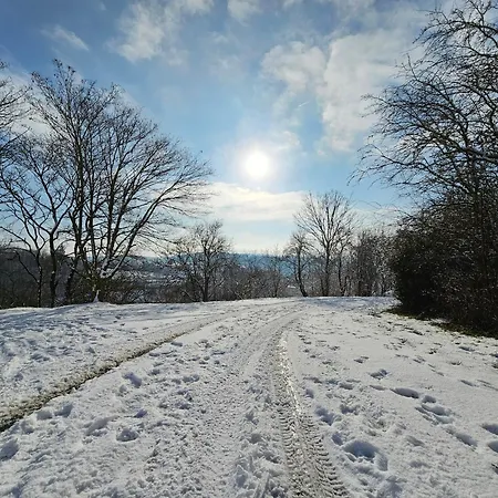 Ferienapartment Wilma Апартаменты Grunsfeld