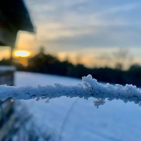 Ferienapartment Wilma Апартаменты *