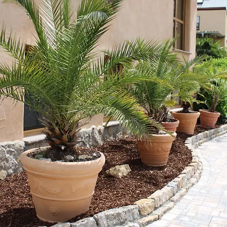 Ferienapartment Wilma * Grünsfeld