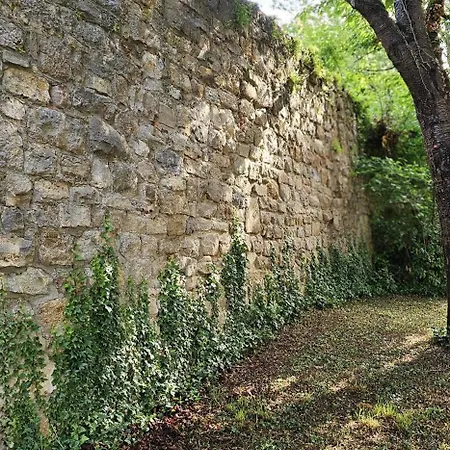 Ferienapartment Wilma Grunsfeld
